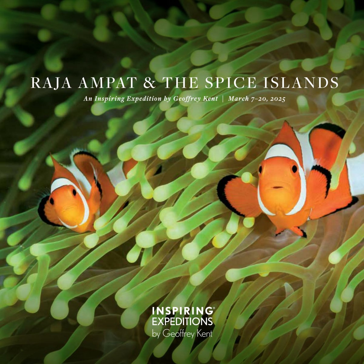 Raja Ampat & the Spice Islands 2025 Abercrombie & Kent